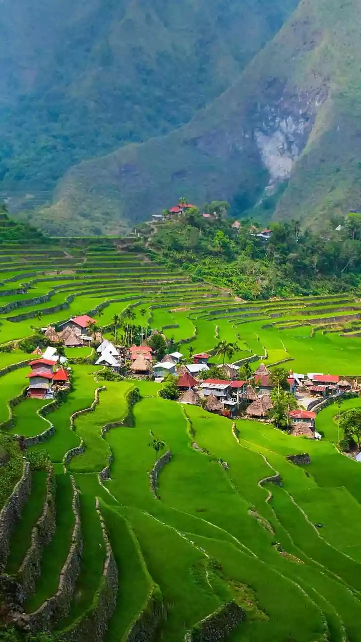 Top Destinations: Where Indians Traveled in 2025