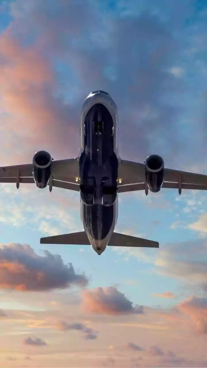 Google Bids $10 Million for Spirit Airlines Business Records to Develop Products and Train Models