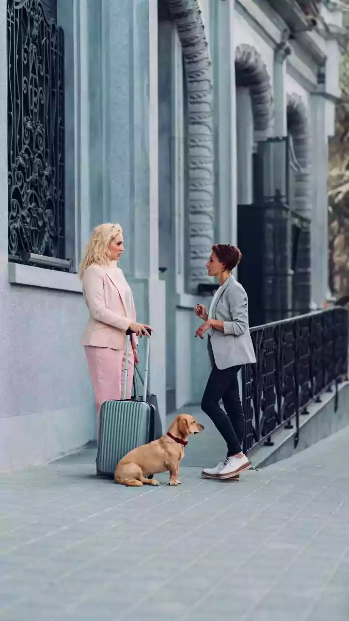 Urban India's pet-parenting boom: India's Premium Pet Economy is making pet budgeting a serious household task