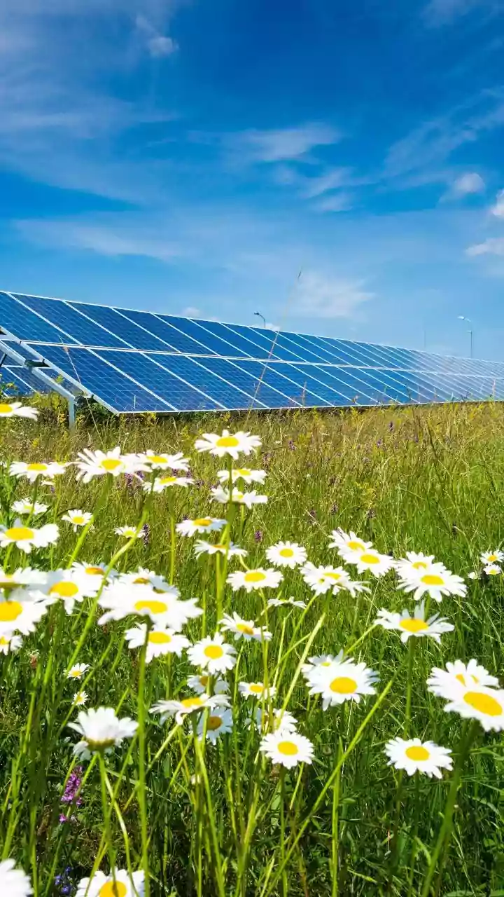 Sovereign Green Bonds Breakdown: Fund Renewable Infrastructure And Earn Guaranteed Fixed Returns