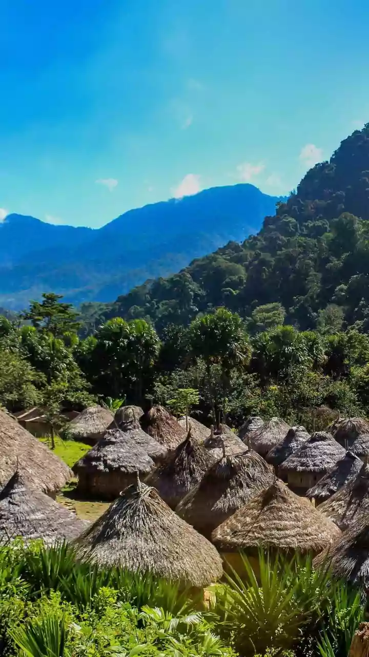 India’s Whistling Village: Where Music Replaces Names