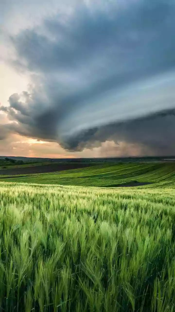 Understanding Parametric Climate Insurance for India's Agriculture