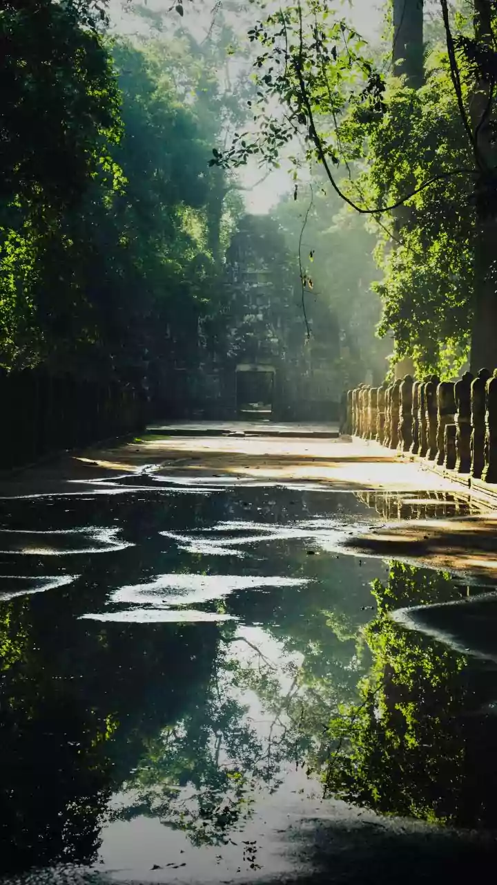 Chennai To Vietnam And Cambodia: A Practical Booking Guide