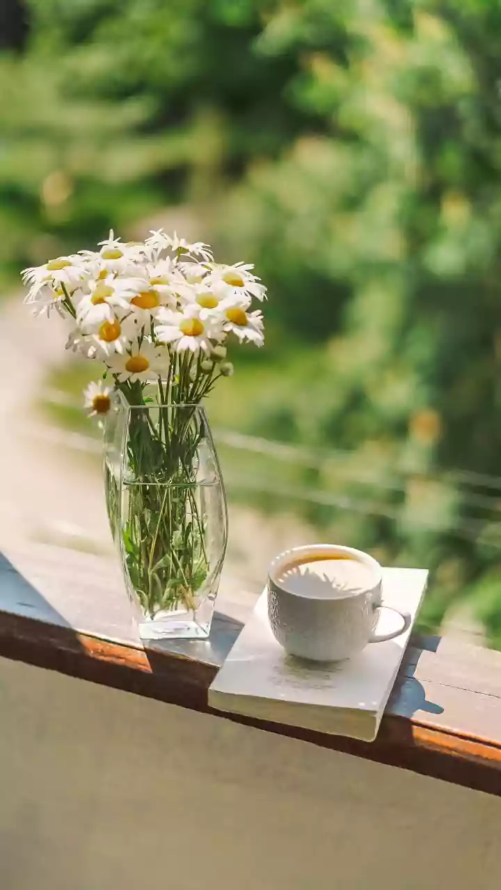 Cozy Sunday vibes — tap to follow today’s rhythm.