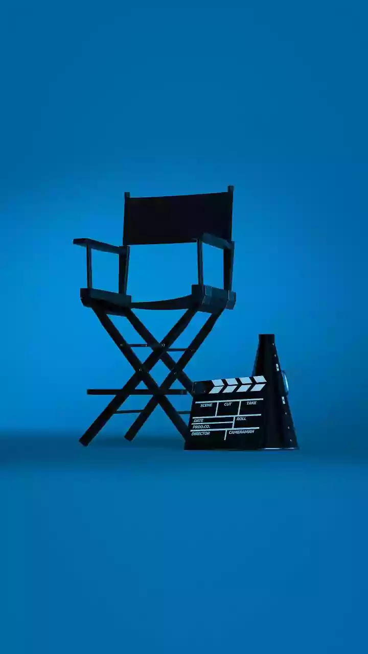 Why Film Producers Look Beyond Hindi Cinema For Story Ideas
