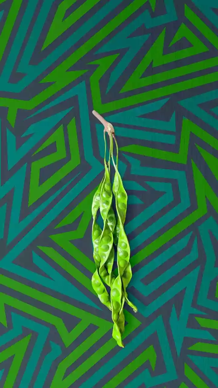 Nature's Astonishing Foliage: Unveiling the World's Most Peculiar Leaves