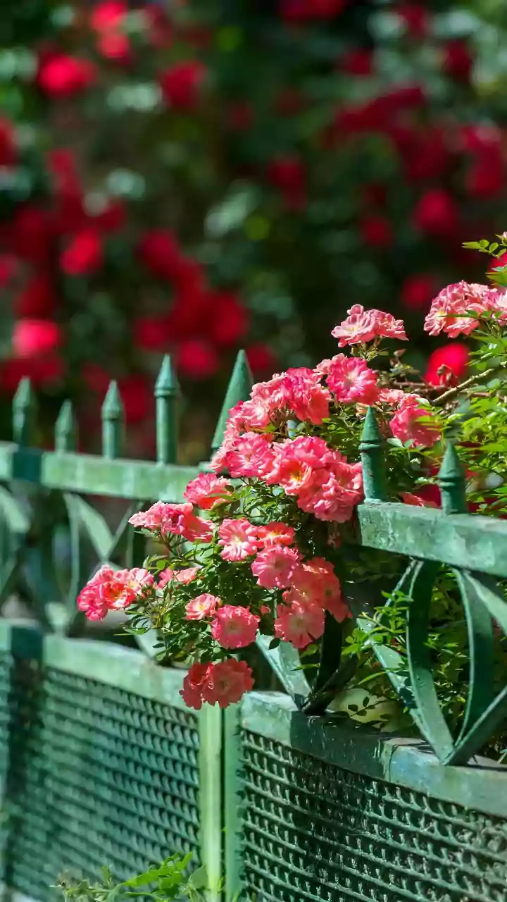 Balanced midweek weather — tap to check.