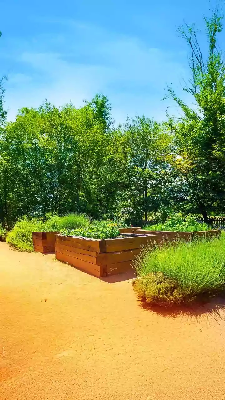 Chatting with Flora: Cambridge Botanic Garden's AI-Powered Plant Conversations