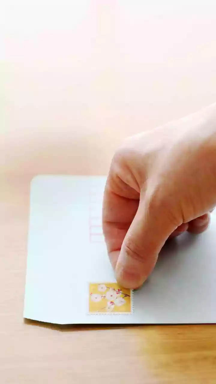 BMC elections: Voter photo ID card, 12 other identity proofs valid  for polling