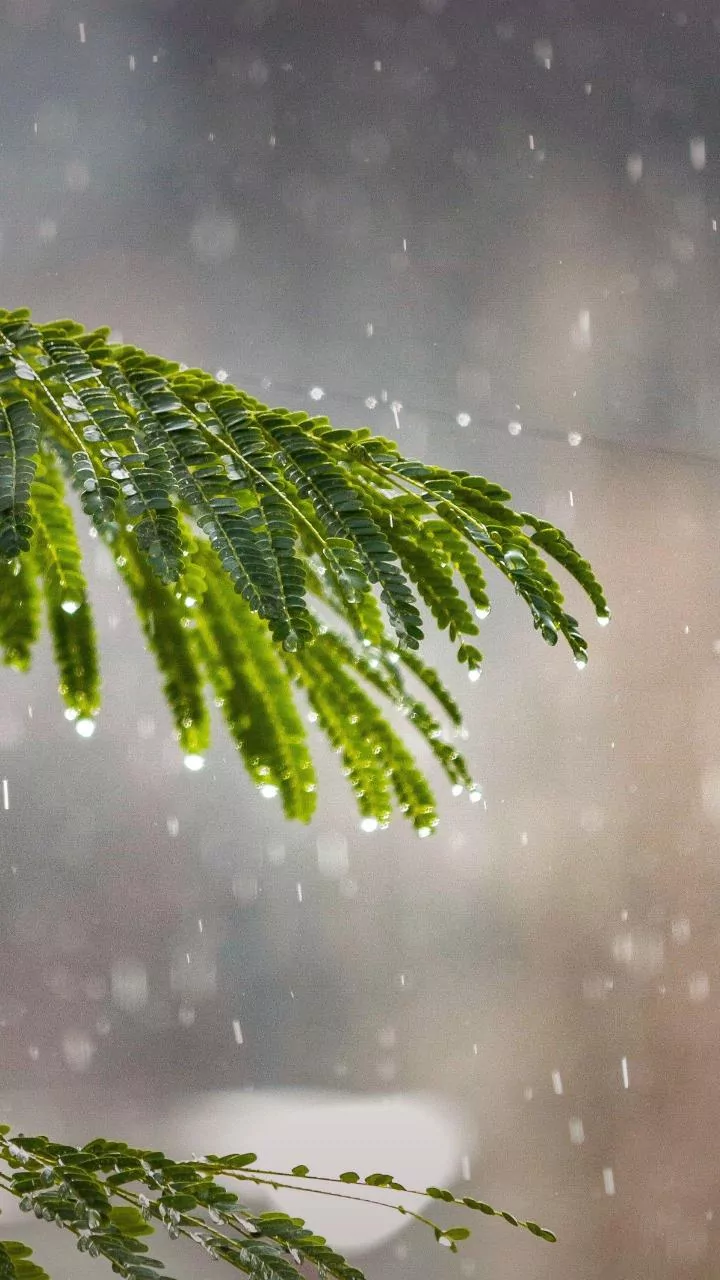 Chuva forte e queda de temperatura mobilizam estados do Sul e Sudeste
