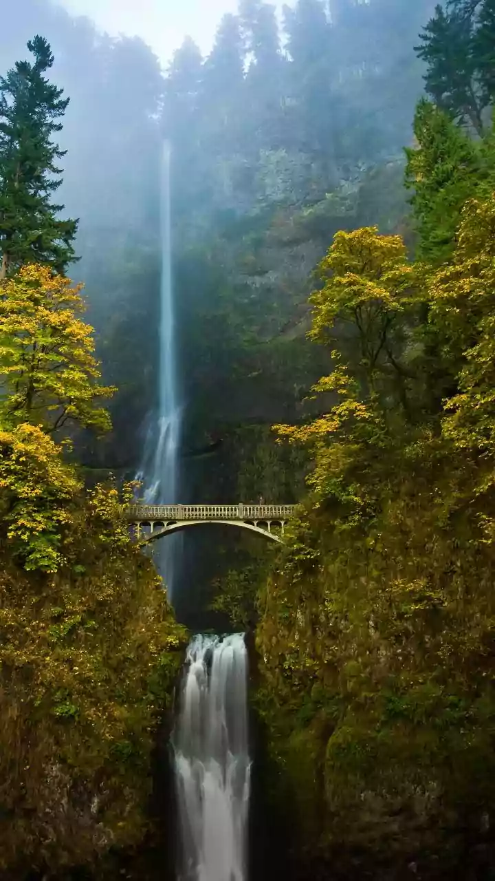 Indian destinations that feel magical in December light