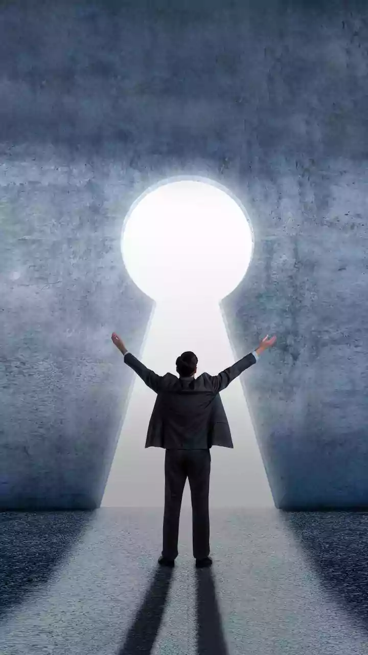 How early-career investors can combine large-cap security with mid-cap growth potential in equity funds