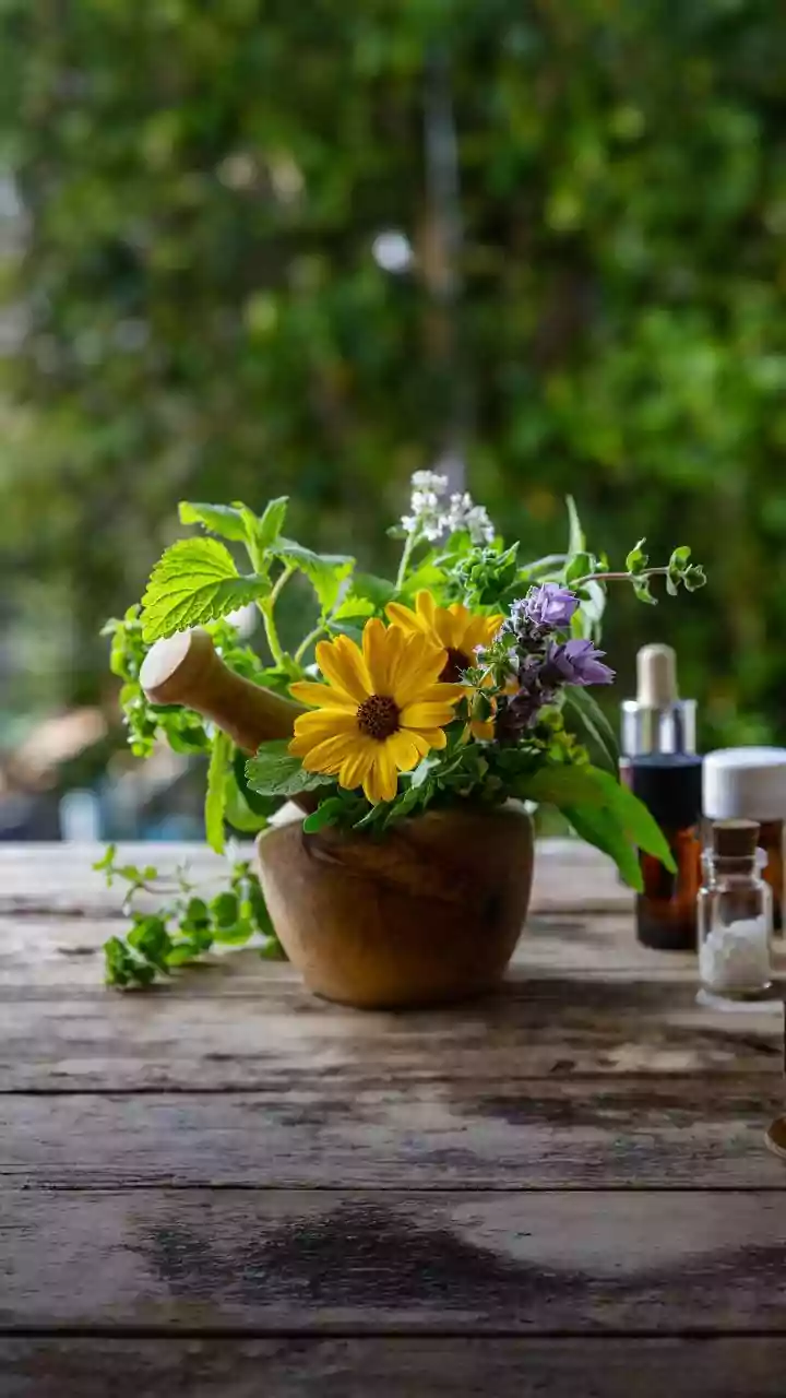 Managing Workplace Anxiety: Ashwagandha vs Brahmi Natural Remedies For Young Corporate Professionals