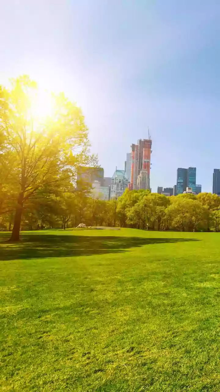 Green Space Can Make Cities More Resilient as Urban Challenges Grow