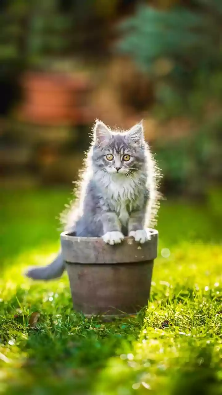 Warm glow, softer shadows – portrait mood shift