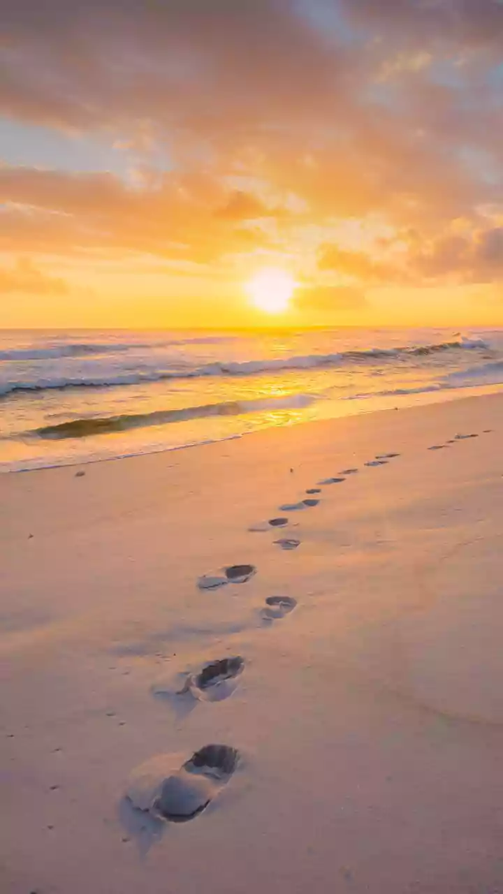 Golden paths, slow steps – evening reset begins