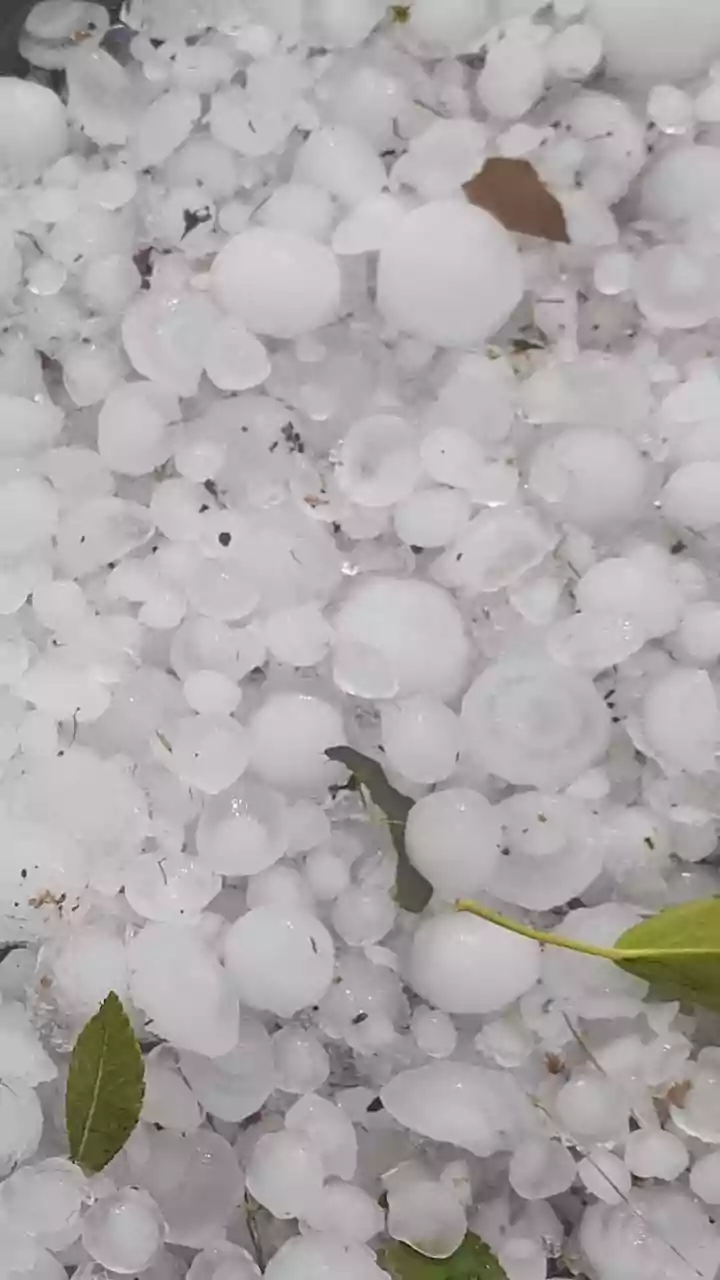 India Meteorological Department Issues Hailstorm Advisory