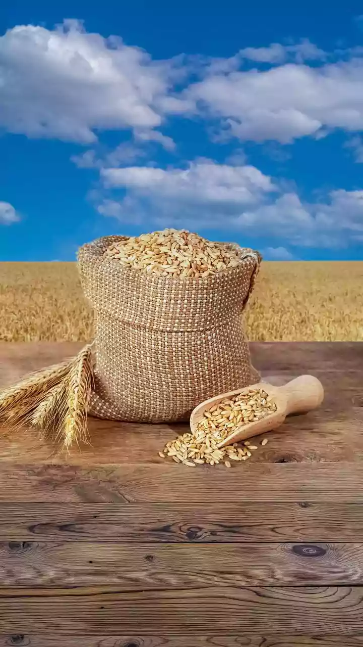 World food prices dip in December but still up in 2025, UN's FAO says