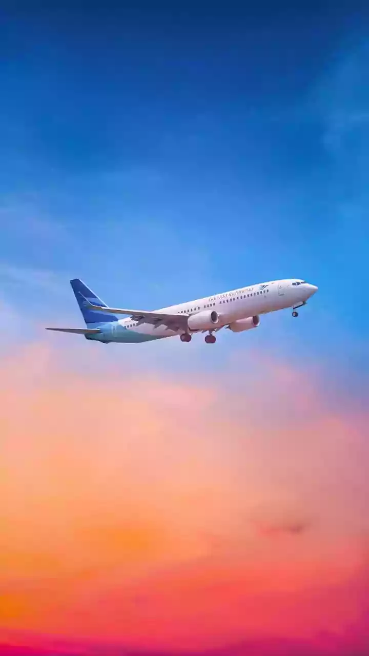 IndiGo Flight Crisis: Delhi HC Slams Centre, Flags Hefty Sums Charged By Other Airlines