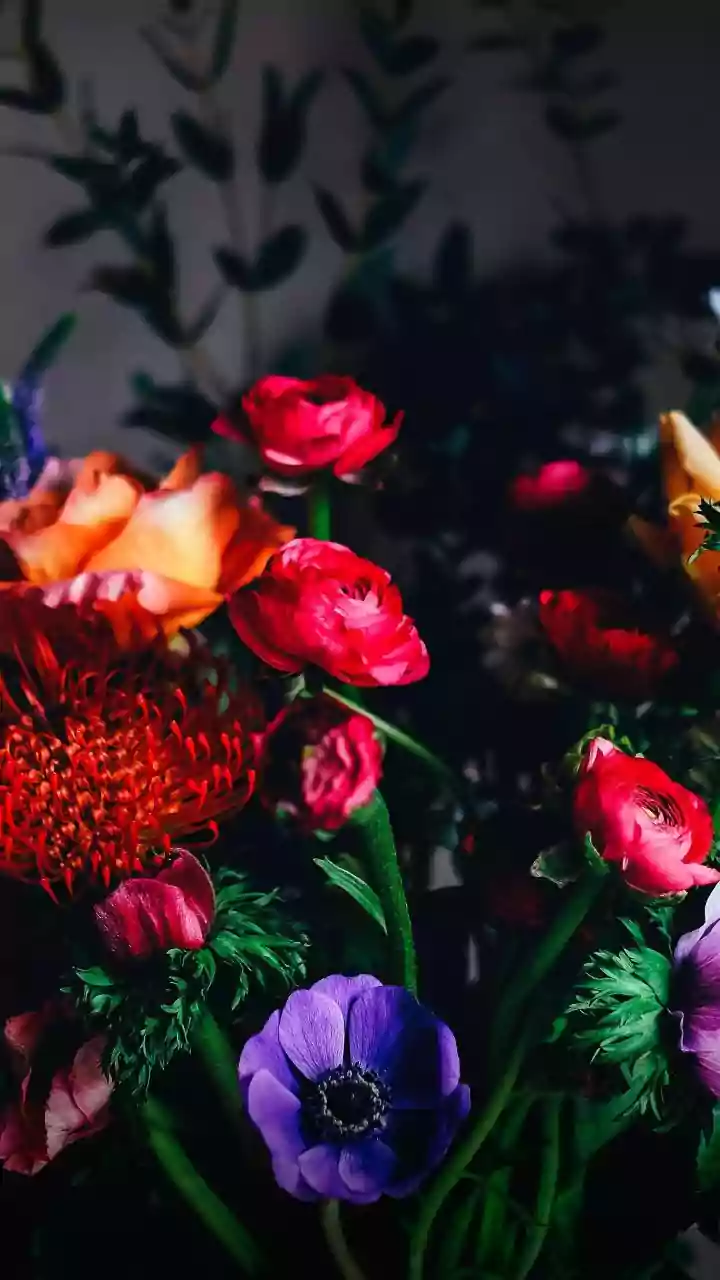 10 Blooms of November: A Floral Guide