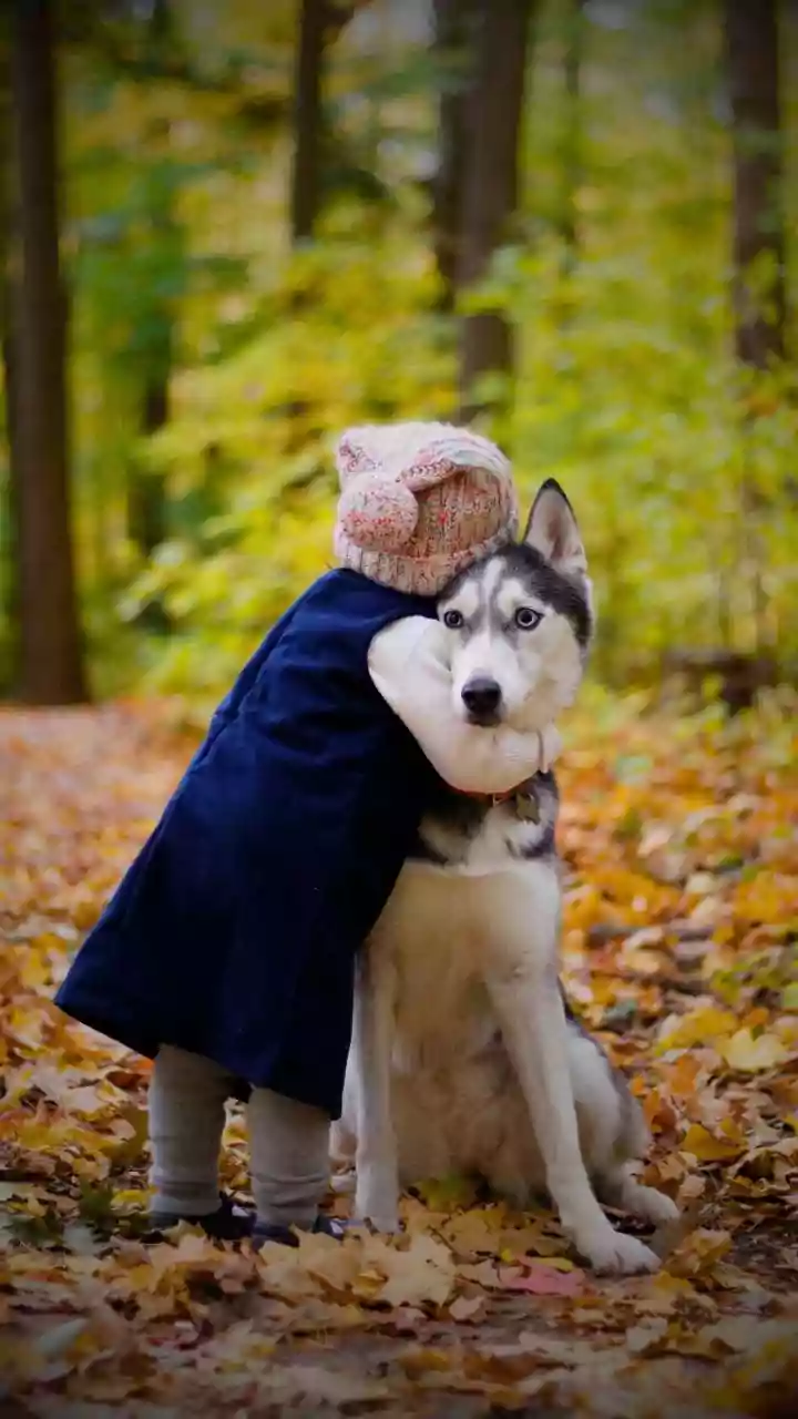 Cosmic Companions: Unveiling the Karmic Purpose of Pets in Your Life