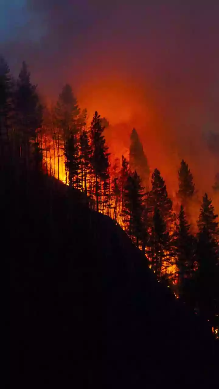 New FireSat Satellites Aim To Catch Wildfires When They Are Still Small