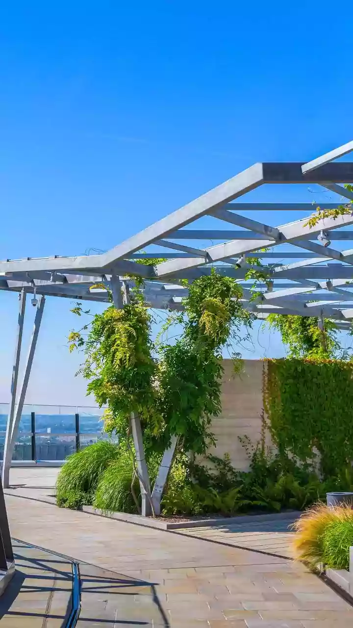 Why Terrace Garden Layout Designing Is Highly Paid Skill