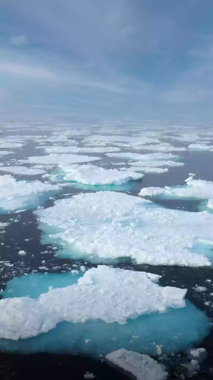 Missing Sea Ice Could Change Ocean Circulation Patterns