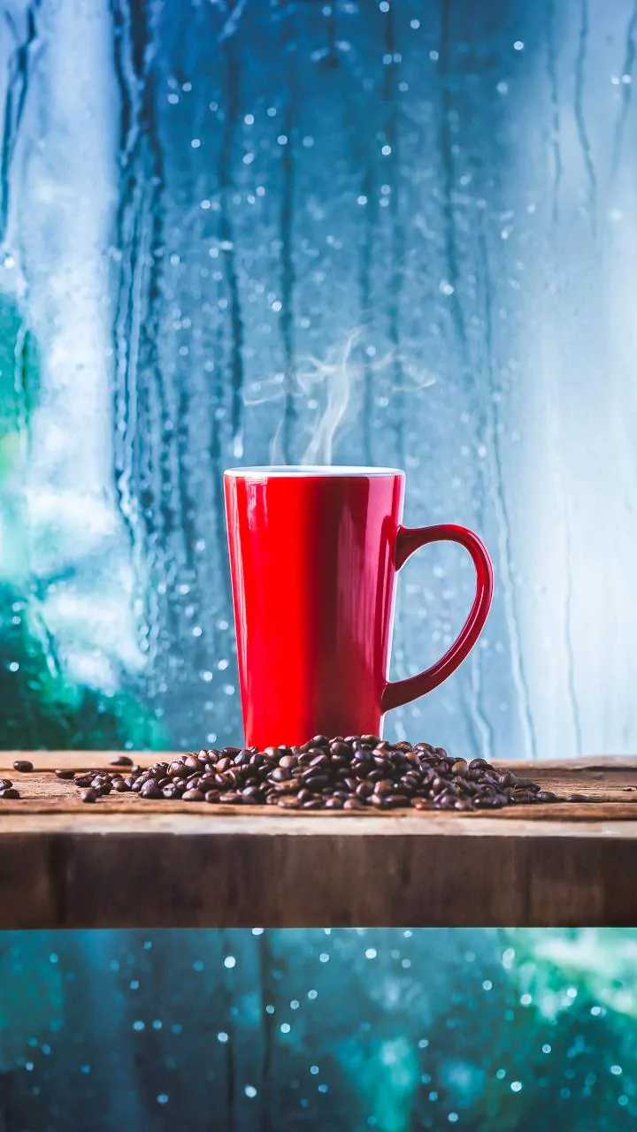 Karnataka’s Rainy Coffee Estates Are Reel-Ready