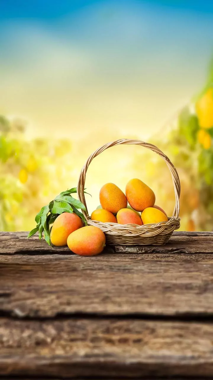 Goa's Prized Mancurad Mangoes See Dramatic Price Drop: From Rs 2,500 to Rs 1,500 a Dozen