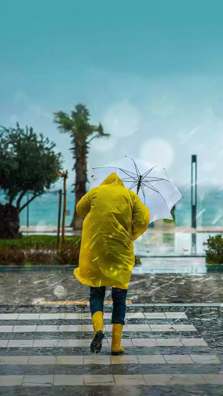 Rainy Days Ahead? Start With These 10 Simple Tips
