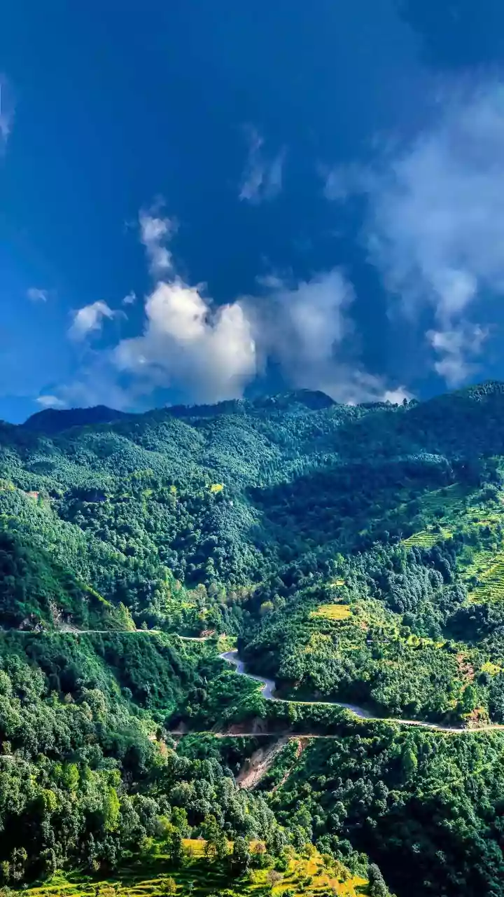 Post-Monsoon Getaways: Exploring Mahabaleshwar And Coorg By Road This Weekend