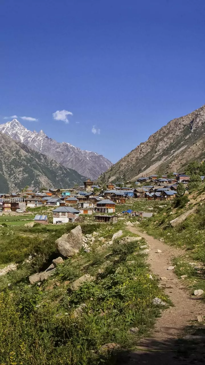 Govt committed to providing quality healthcare to all, especially in remote territories: Rajnath