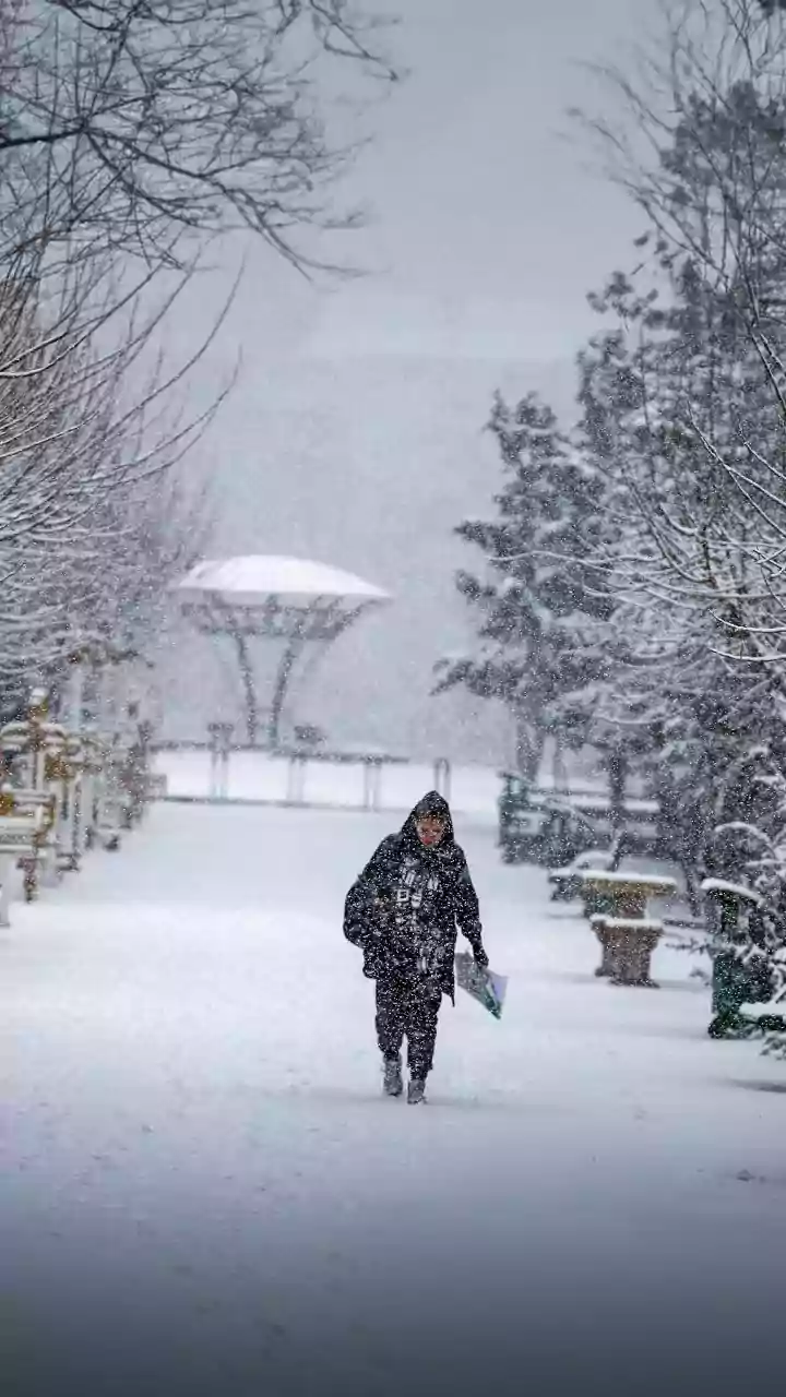 Punjab, Haryana reel under intense cold