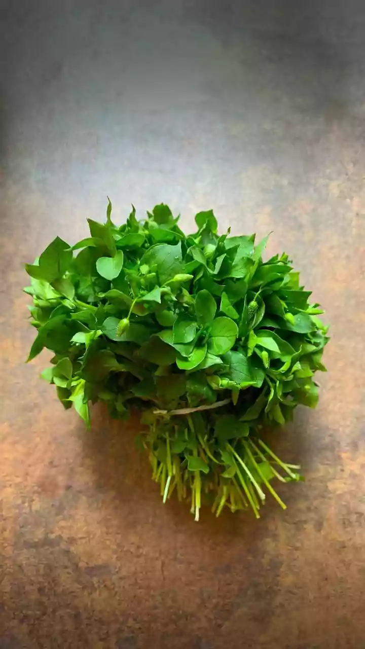 A Nutritionist's Winter Playbook: Whole Organic Herbs for Real Protection