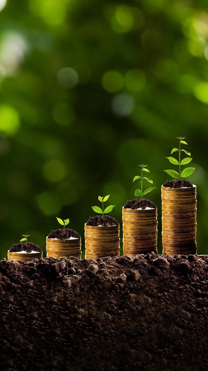 ESG Mutual Funds Explained: Should Indian Investors Invest In 2025?