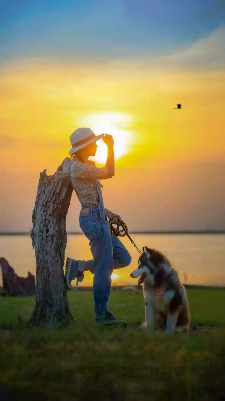 Pet-Friendly Places In Maharashtra To Welcome The New Year