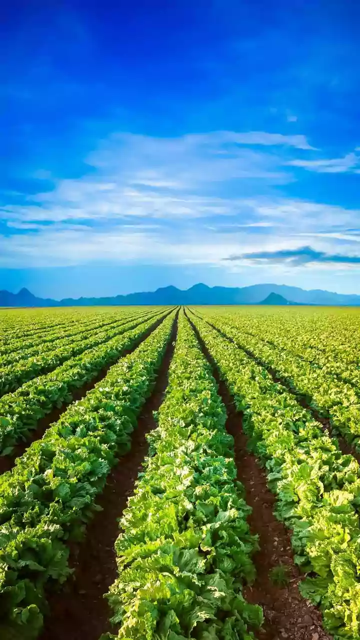 AI-Powered Agriculture: Revolutionizing Farm Supply Chains with IoT Innovation