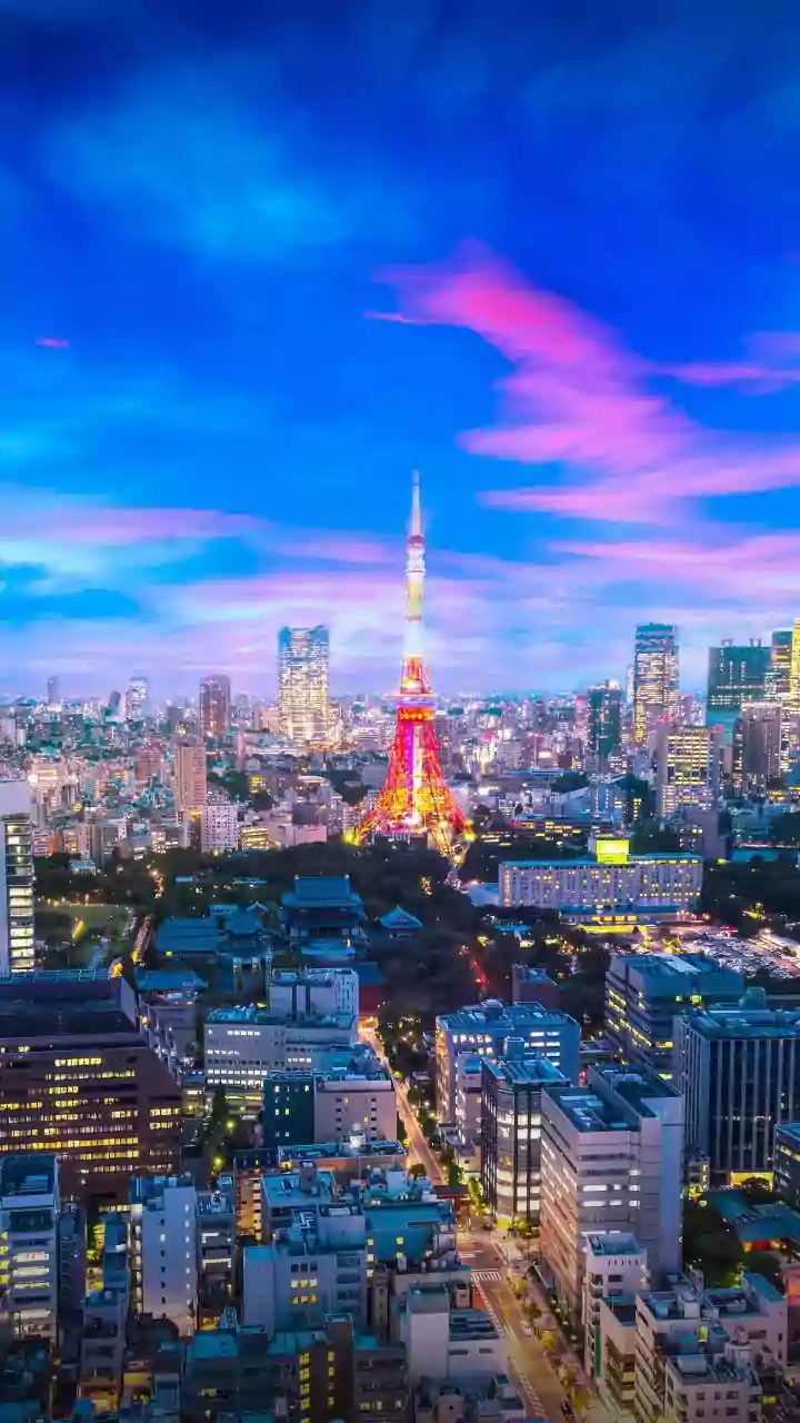 48 Hours In Tokyo: A Guide To Experiencing The City Like A Local