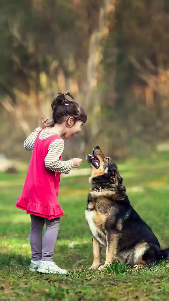 Involve your kids in these pet-care chores to nurture responsibility