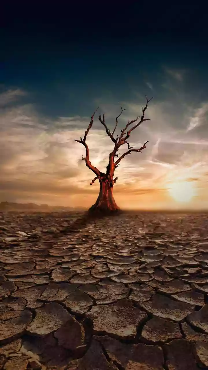 Beat the Heat: Expert Guide to Preventing and Treating Heatstroke in India