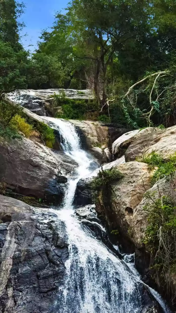 How Bengaluru Travelers Discover Picturesque Waterfalls On Drives To Chikmagalur And Wayanad