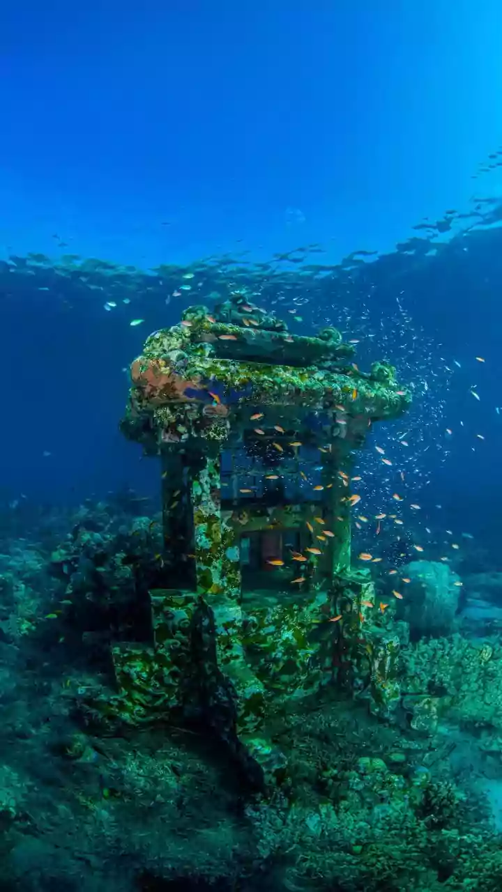 Snorkeling enthusiasts, this underwater wonder in Naples awaits