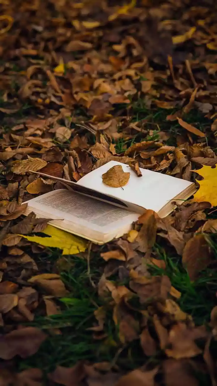 15 livros para ler em maio e se apaixonar por novas histórias