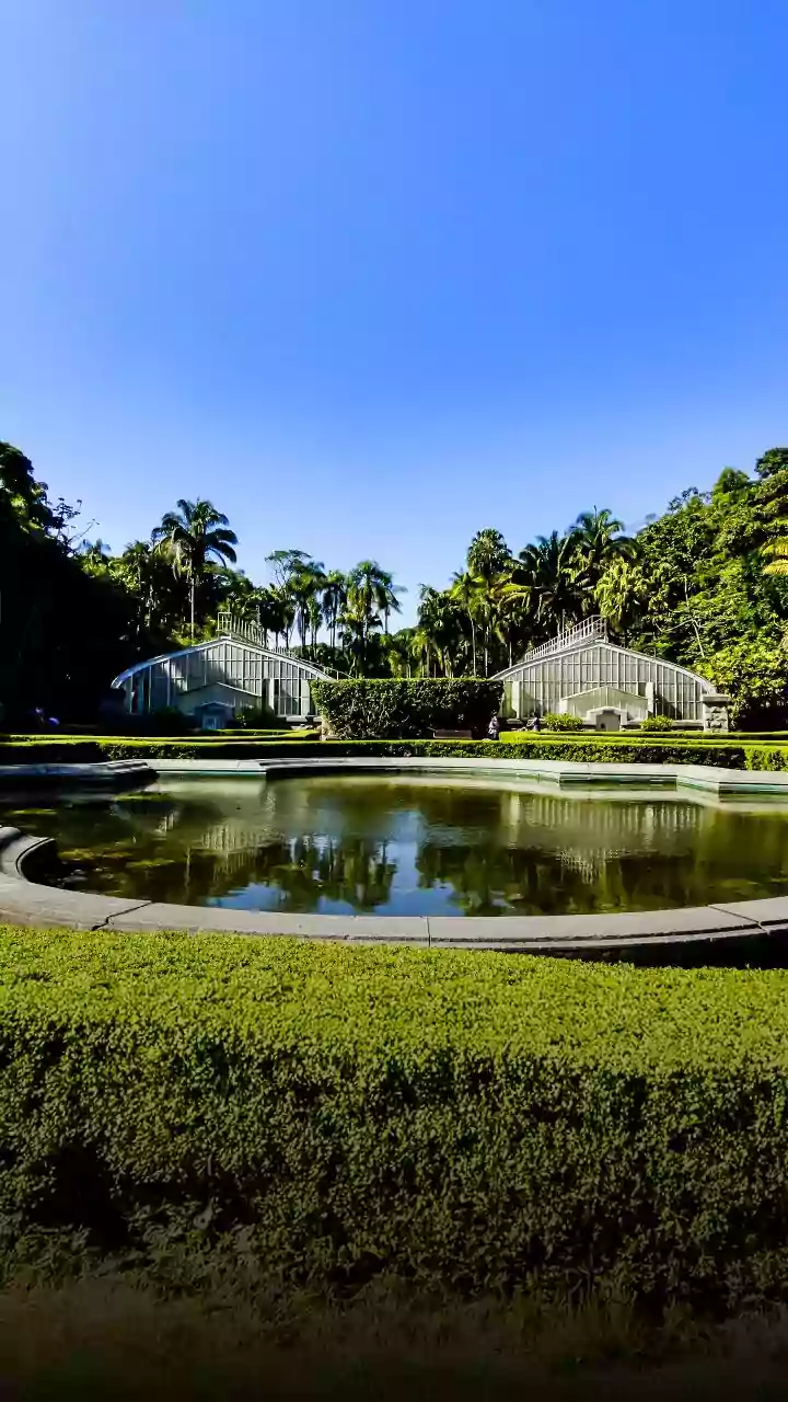Jardim Botânico de São Paulo recebe festival de lanternas inspirado na Tailândia