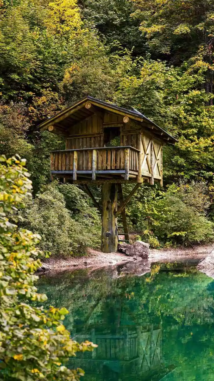 Eco Friendly Wayanad Escapes Feature Sustainable Bamboo Treehouses And Rain Harvesting