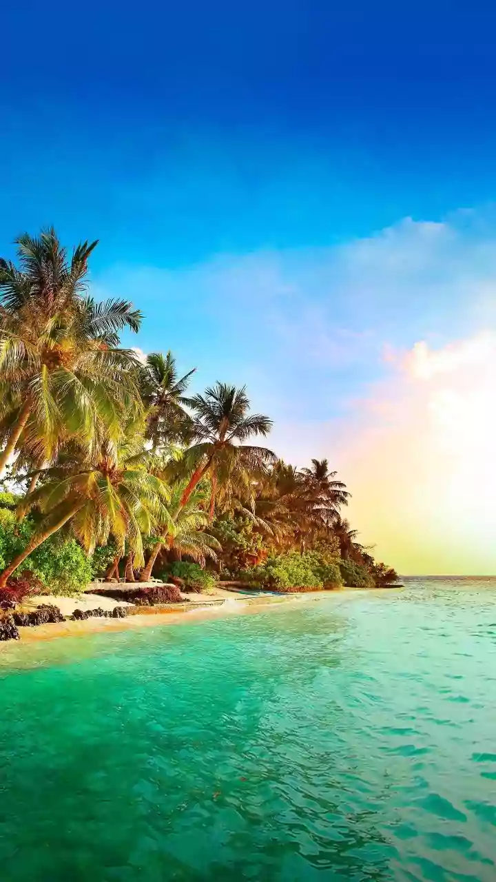 Celebrity Sanctuaries: The Secret Havens of Ultra-Private Luxury Travel