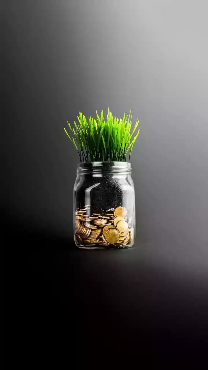 Why Flexi-Cap Funds Are Gaining Popularity; Check Top 5 Schemes