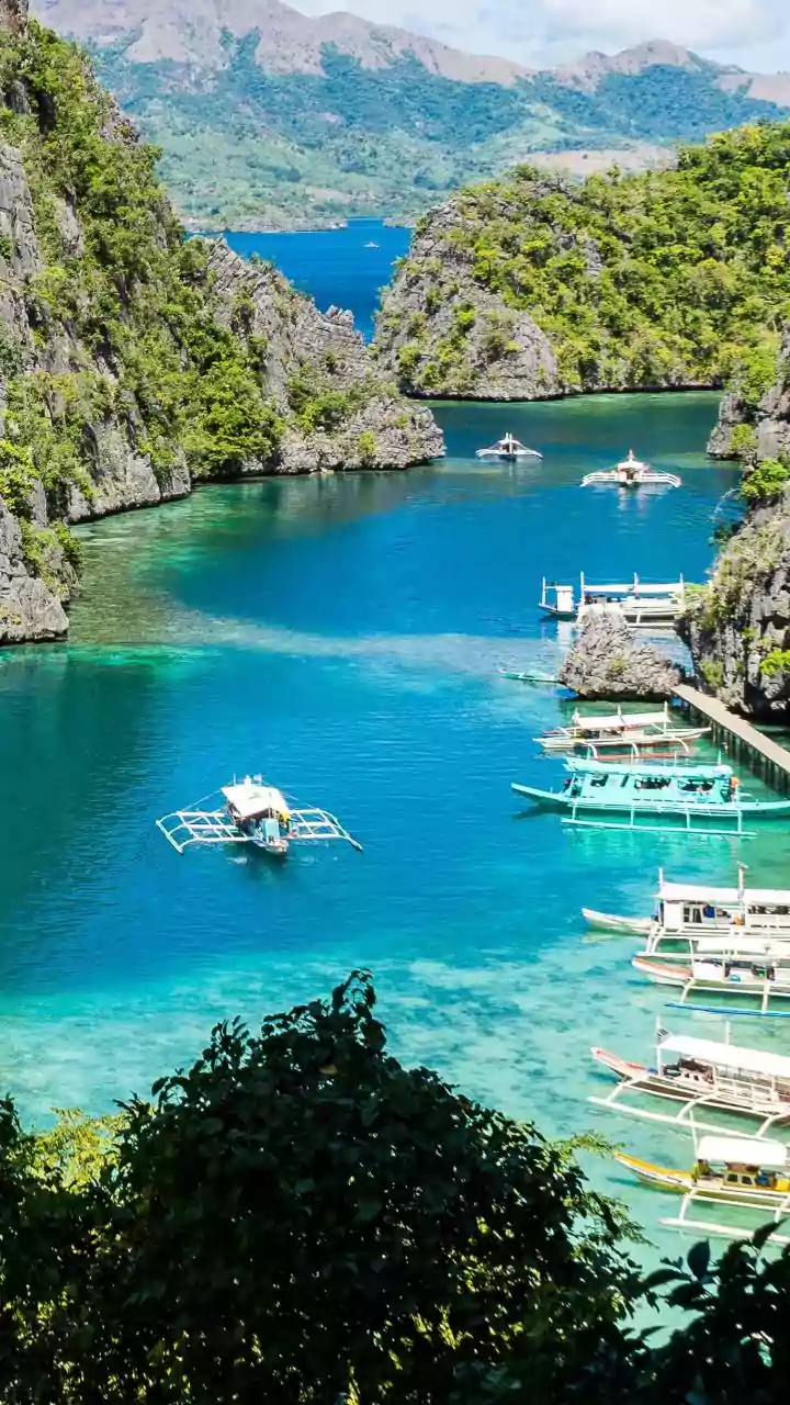 Bondi Beach suspect father arrived in Philippines as 'Indian national': immigration