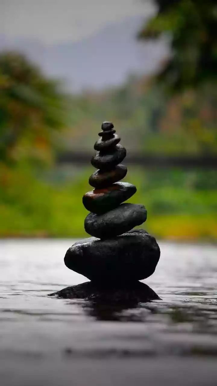 Inner Stability: Resetting Mind & Body for a Balanced Life